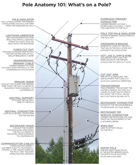 electric telephone pole box|POWER DISTRIBUTION 101: KNOW YOUR UTILITY .